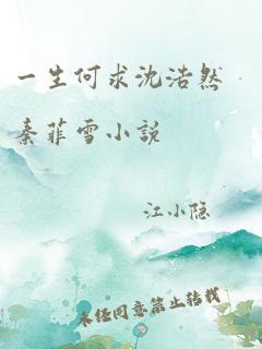 一生何求沈浩然秦菲雪小说