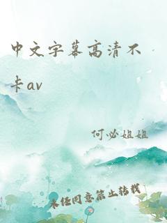 中文字幕高清不卡av