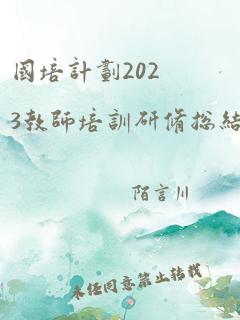 国培计划2023教师培训研修总结