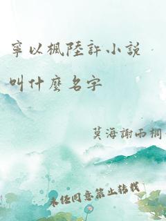 宁以枫陆许小说叫什么名字