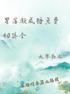 星落凝成糖免费40集全