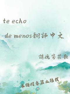 te echo de menos翻译中文