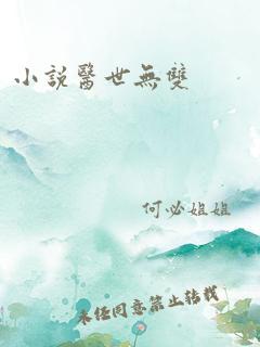 小说医世无双