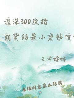 沪深300股指期货的最小变动价位