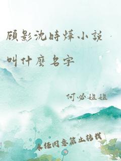 顾影沈时烨小说叫什么名字