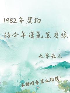 1982年属狗的今年运气怎么样