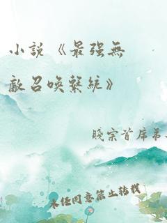 小说 《最强无敌召唤系统》