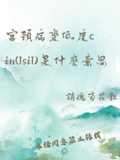 宫颈病变低度cin(lsil)是什么意思