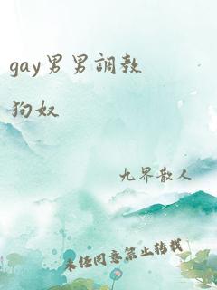 gay男男调教狗奴