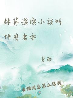 林苒温璨小说叫什么名字