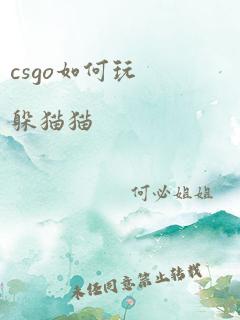 csgo如何玩躲猫猫