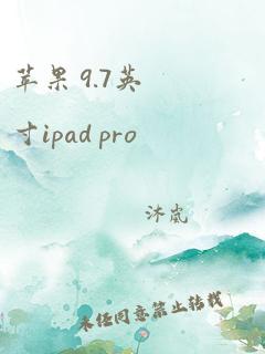 苹果 9.7英寸ipad pro