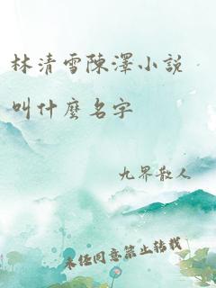 林清雪陈泽小说叫什么名字