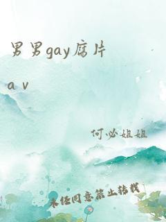 男男gay腐片aⅴ