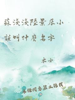 苏浅浅陆景辰小说叫什么名字