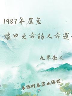 1987年属兔炉中火命的人命运如何