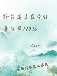 野花高清在线观看视频720集