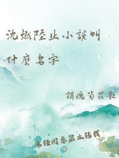 沈燃陆止小说叫什么名字