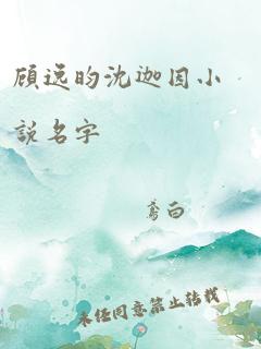 顾逸昀沈迦因小说名字