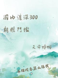 国内沪深300期权门槛