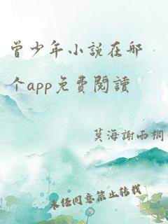 曾少年小说在哪个app免费阅读