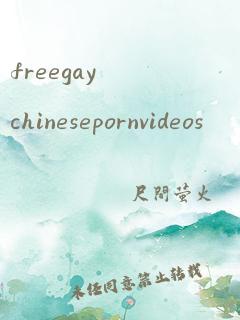 freegaychinesepornvideos