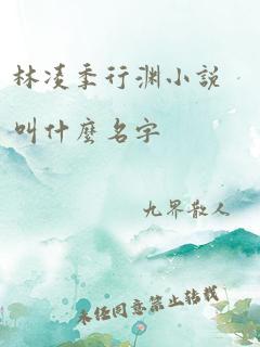 林凌季行渊小说叫什么名字