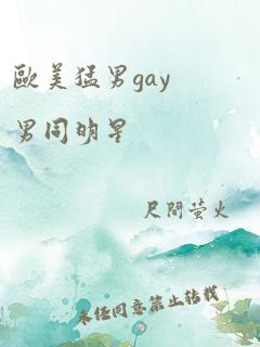 欧美猛男gay男同明星