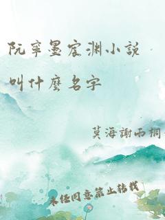 阮宁墨宸渊小说叫什么名字