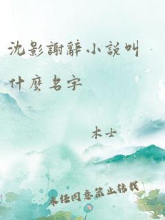 沈影谢辞小说叫什么名字