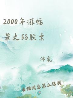 2000年涨幅最大的股票