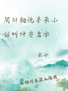 周川柏沈梦禾小说叫什么名字