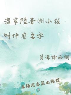 温宁陆晋洲小说叫什么名字