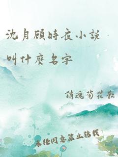 沈月顾时夜小说叫什么名字