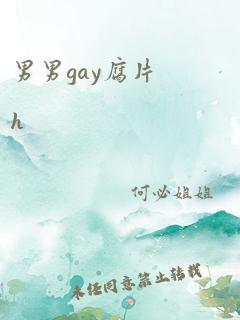 男男gay腐片h