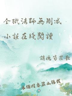 全职法师无删减小说在线阅读