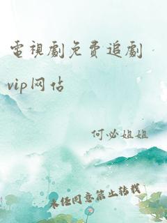 电视剧免费追剧vip网站