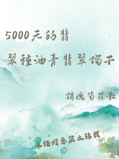 5000元的翡翠种油青翡翠镯子