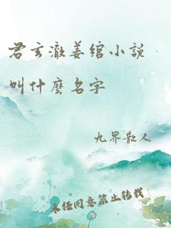 君玄澈姜绾小说叫什么名字