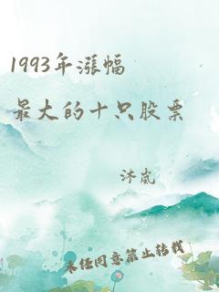 1993年涨幅最大的十只股票