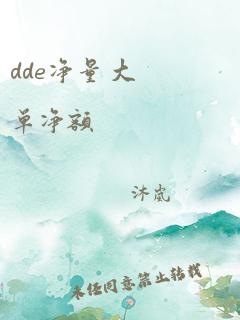 dde净量 大单净额