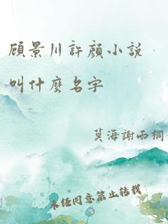 顾景川许颜小说叫什么名字