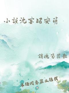 小说沈宴昭安萌