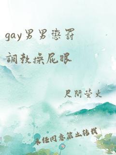 gay男男惩罚调教操屁眼