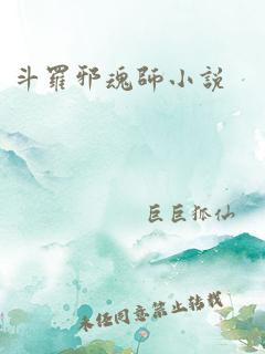 斗罗邪魂师小说