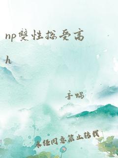 np双性总受高h