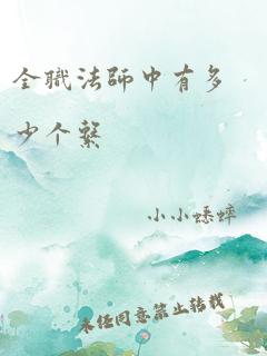 全职法师中有多少个系