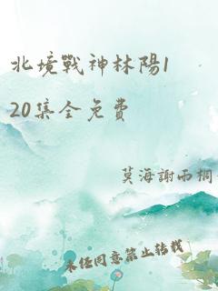 北境战神林阳120集全免费