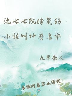 沈七七阮皓晟的小说叫什么名字