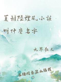 夏稚陆煜风小说叫什么名字